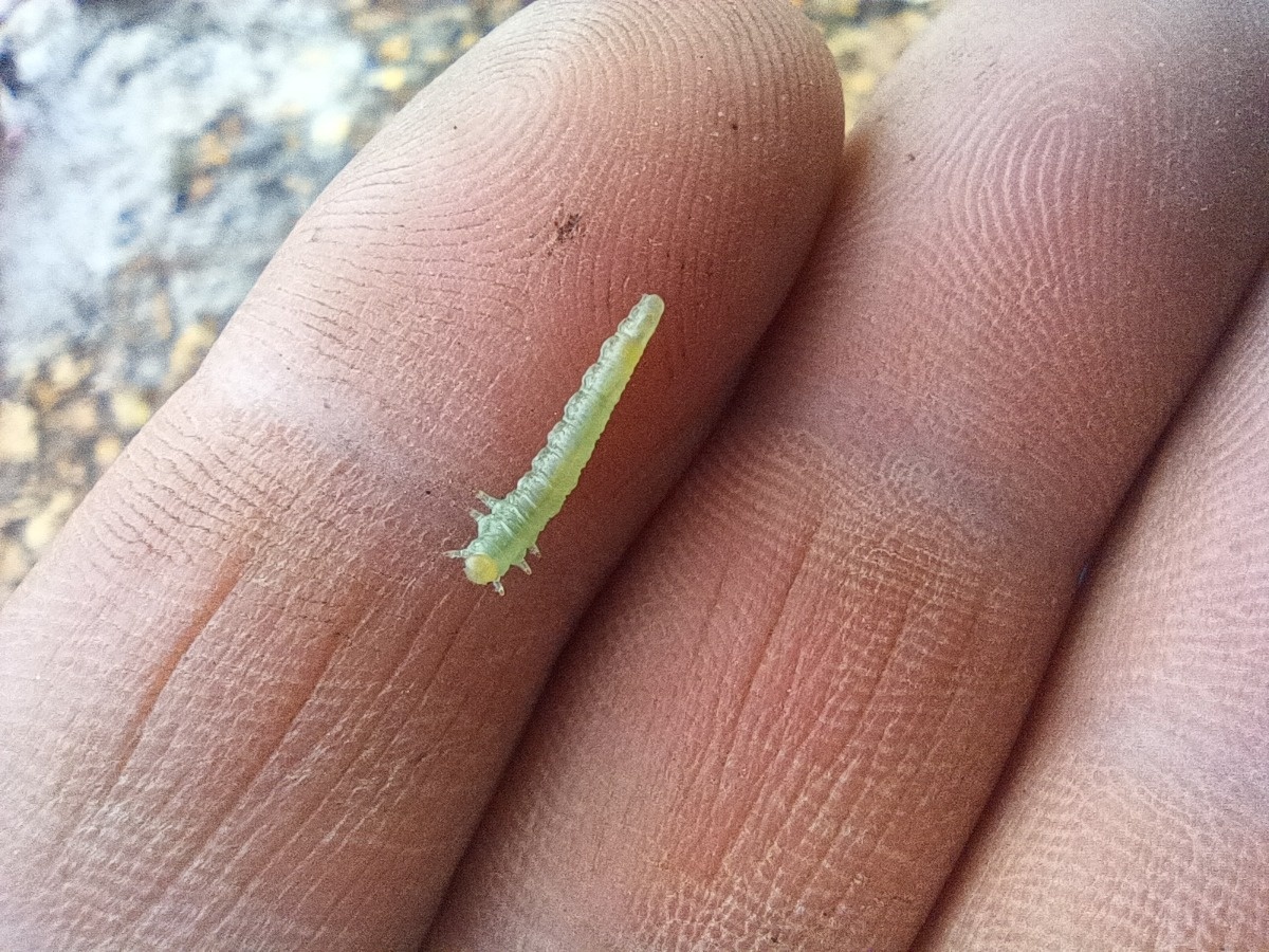 af2616da-dfa0-40d8-9e9f-033b720aa223