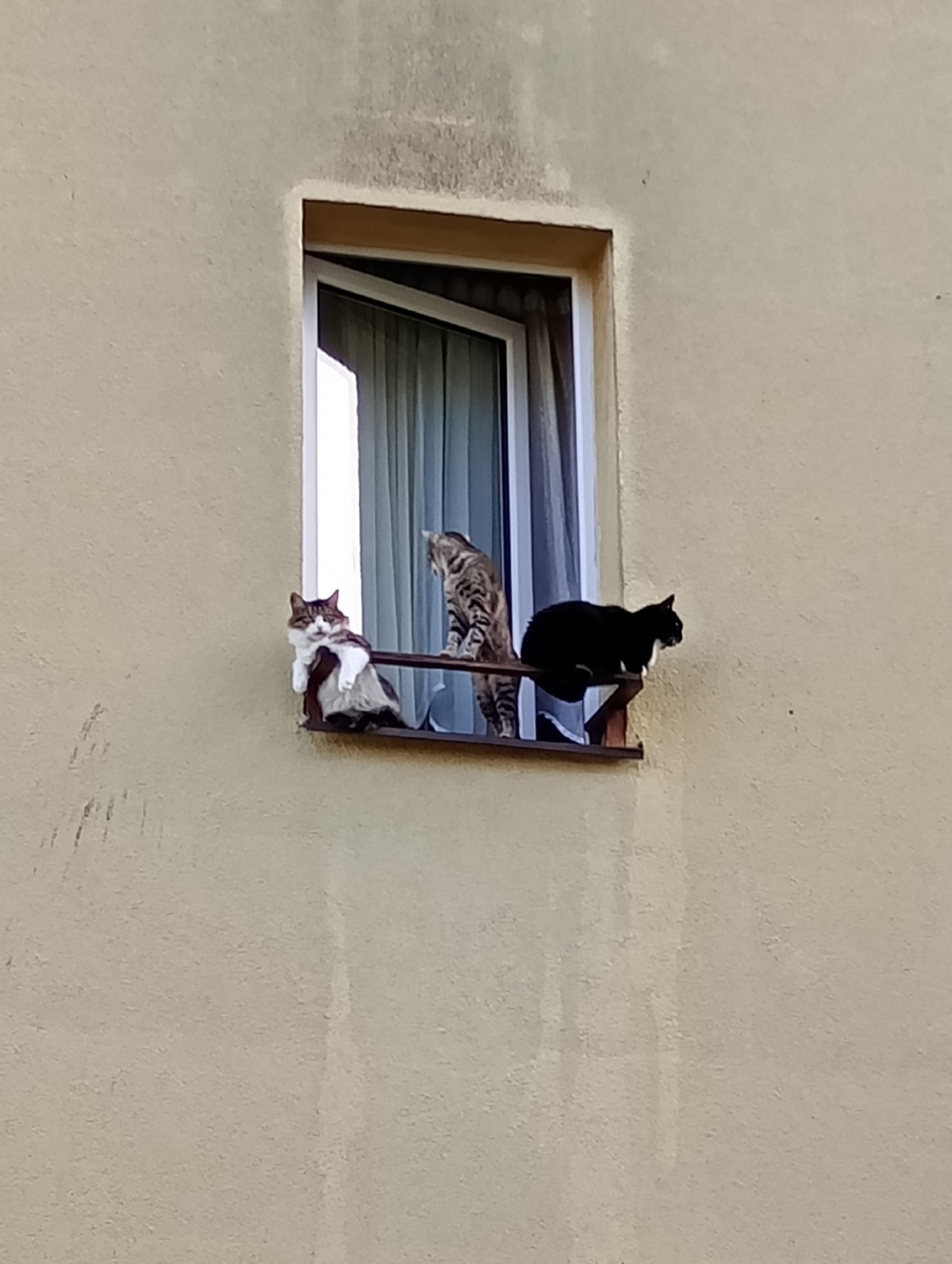 bde0f0fa-7e3f-4ce4-a315-c82afd9220ad