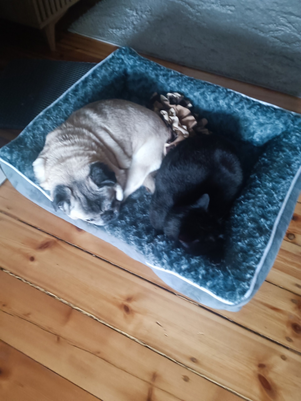 8e34dd82-ab3b-4161-bce0-99382cc73b1b