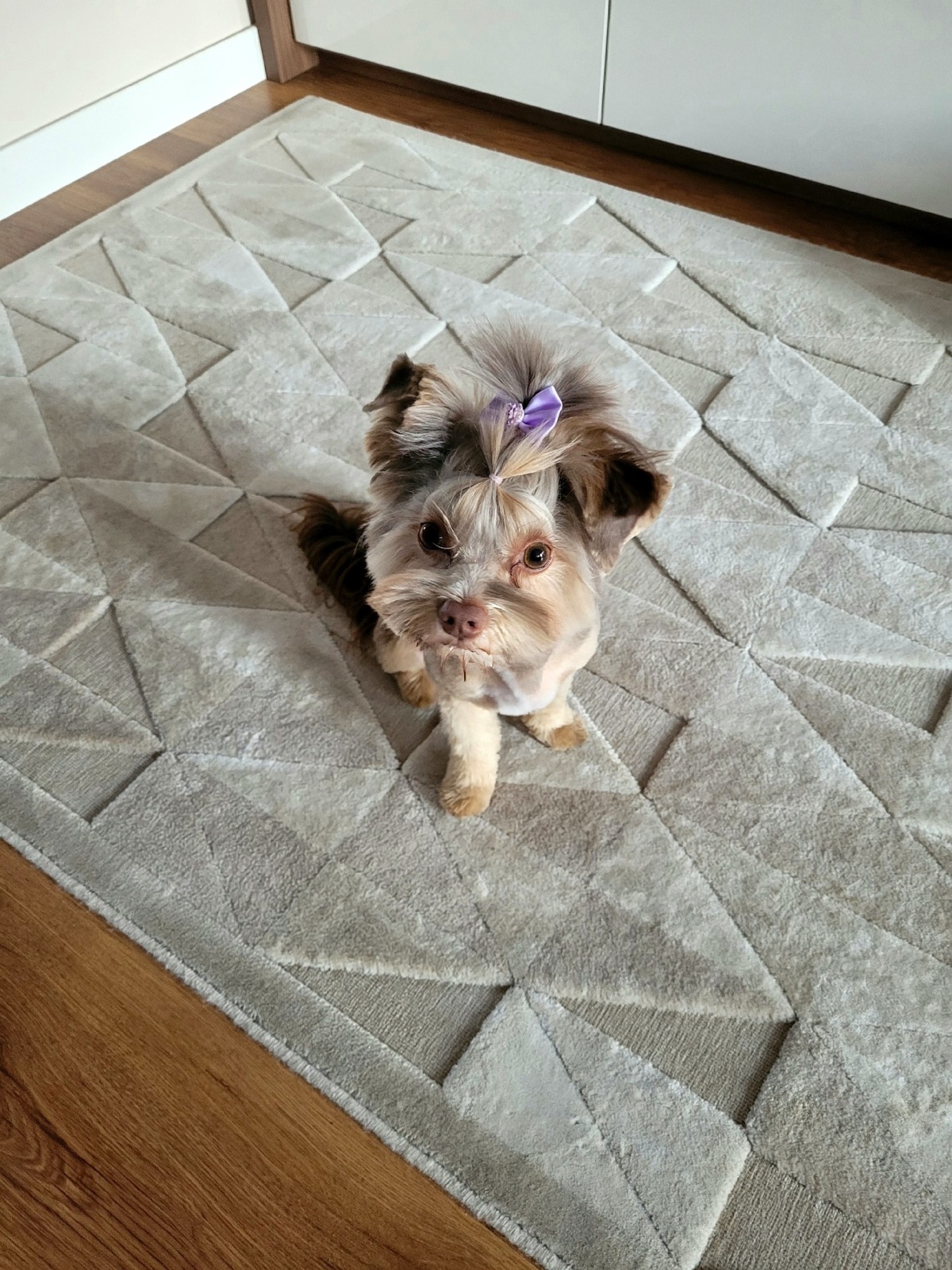 f6487f7f-3ee0-404a-aa8c-86f6b02f9e55