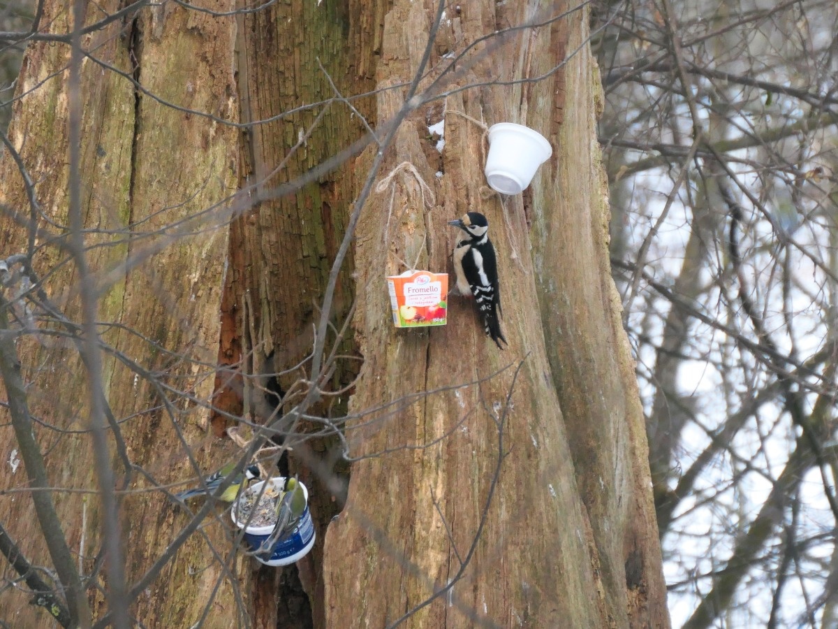 31c30060-69e0-4926-a309-d0453928a402