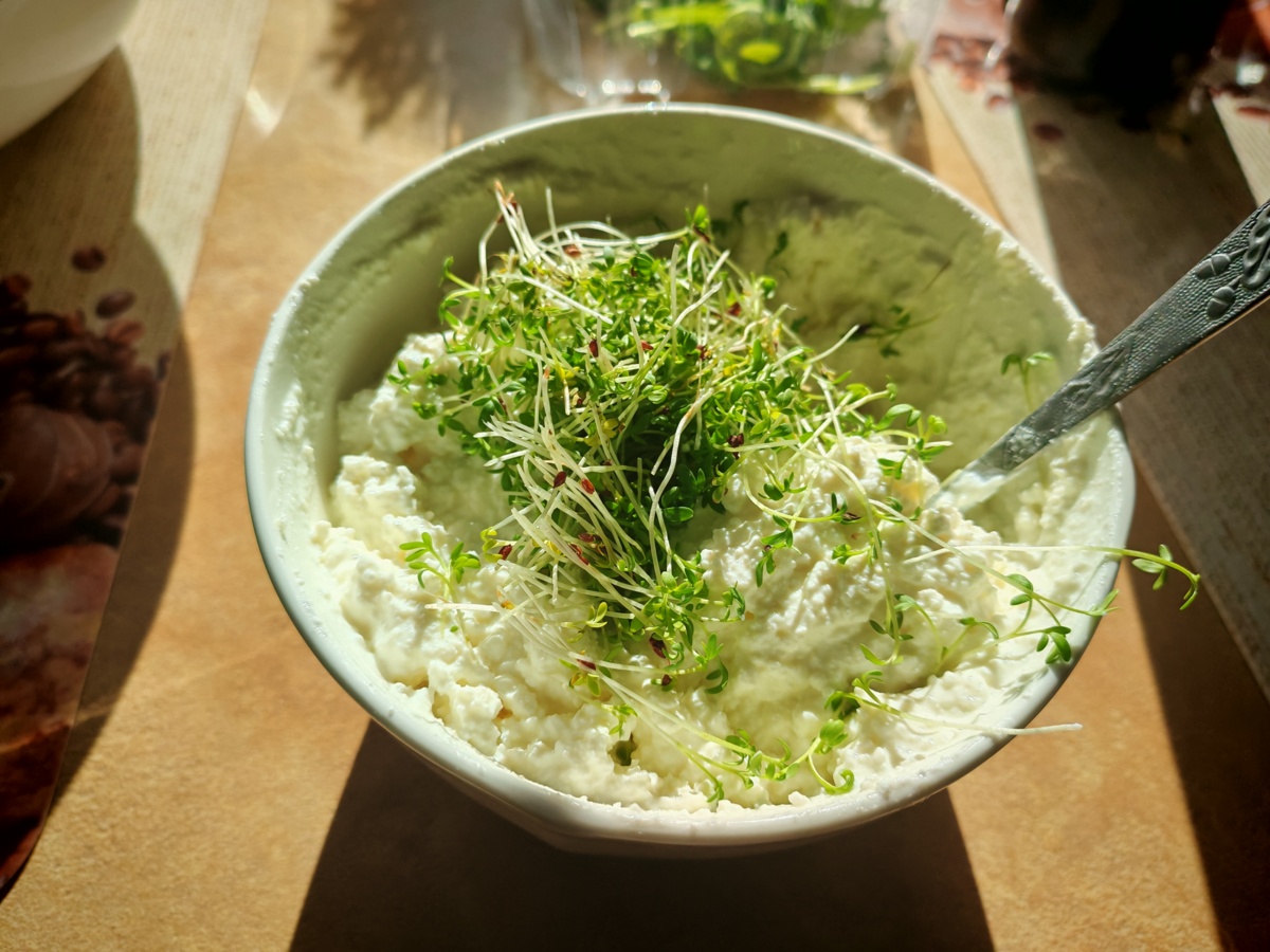 651dbcd0-a398-443e-9e3f-f750a3774e66