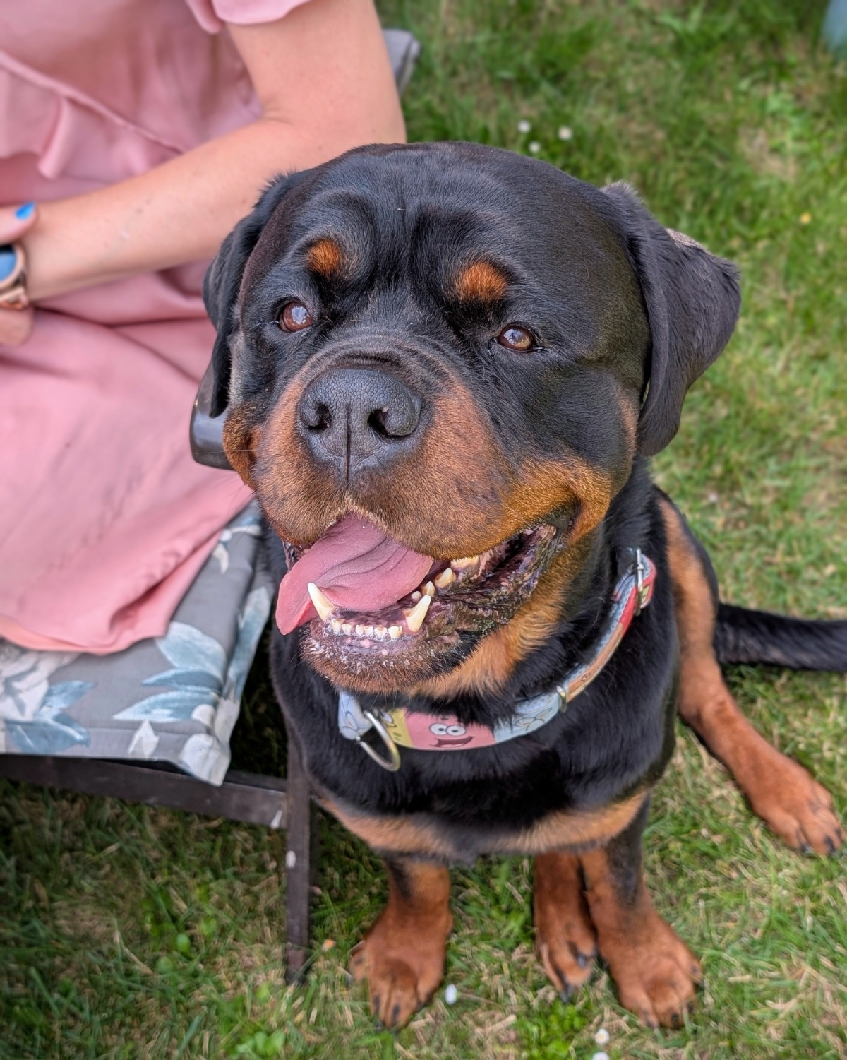 785704be-5ddd-479d-8619-c8e0e78de339