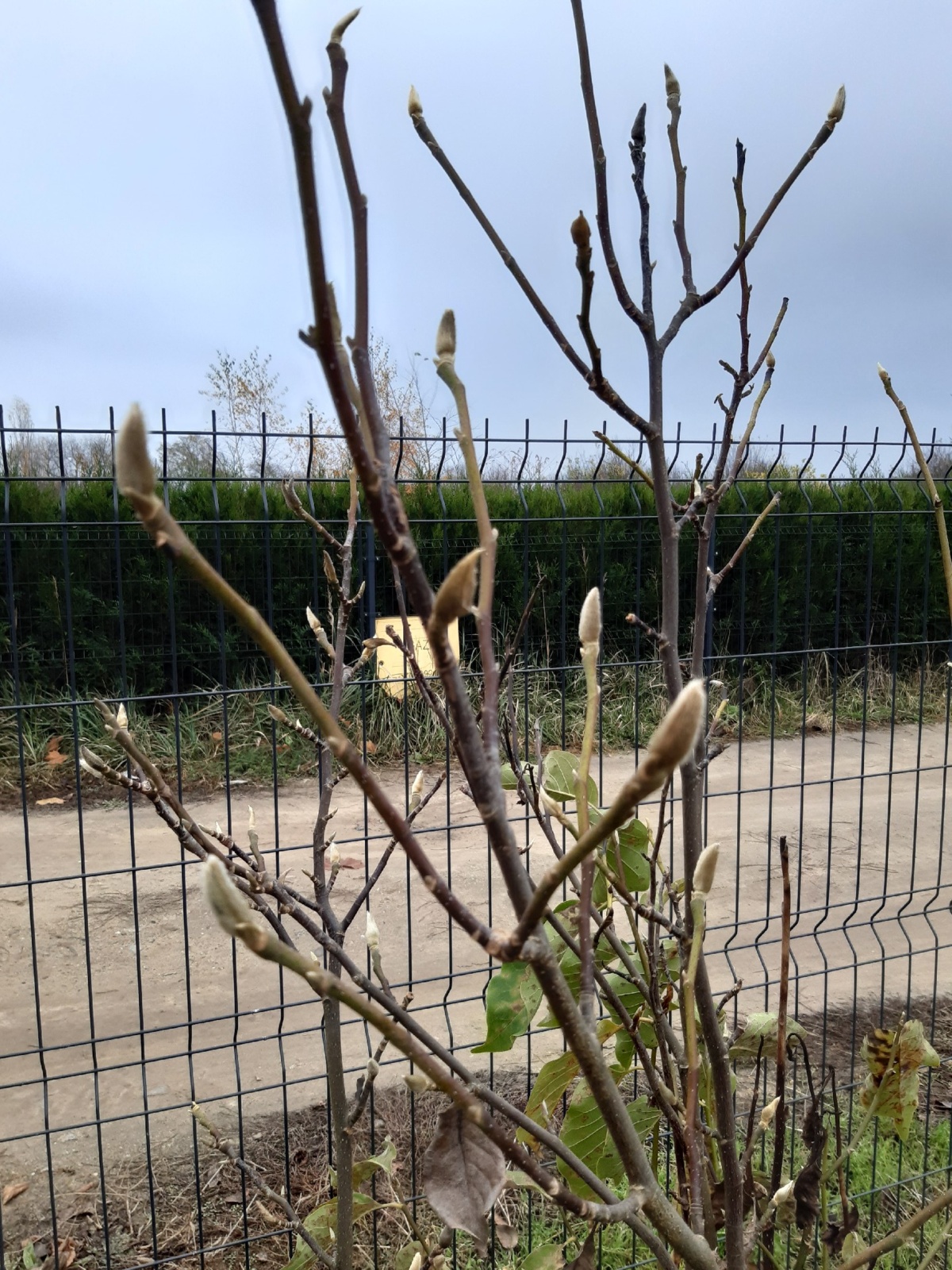 ad882311-7954-4d25-8663-60dd2a2575a5