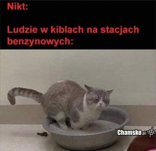 c1d0e14b-5548-48fe-a0b7-e50cc624fd1f