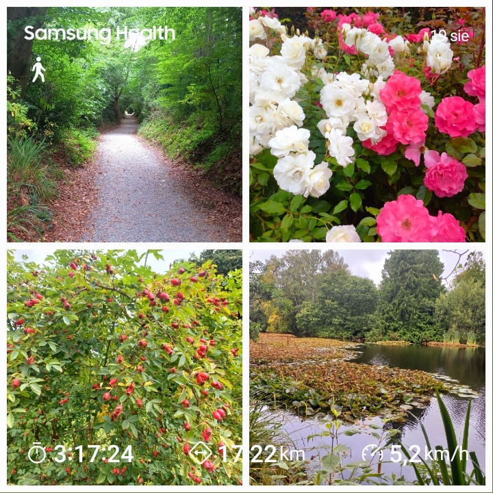 8c6e2e78-c428-4d34-a708-ff07b6a9b670