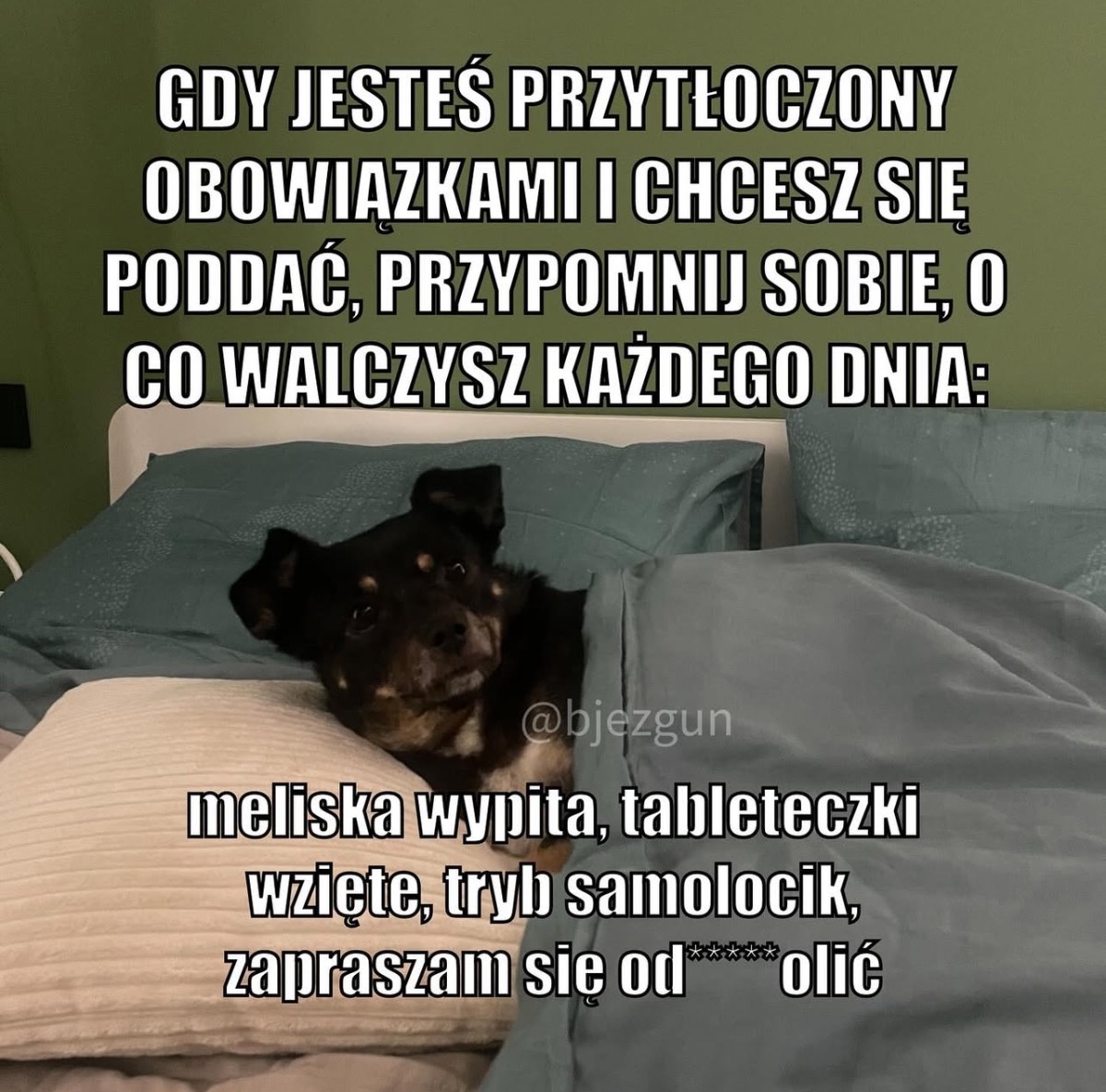 13646042-d1b6-4ac8-bc6c-7d15daead8de