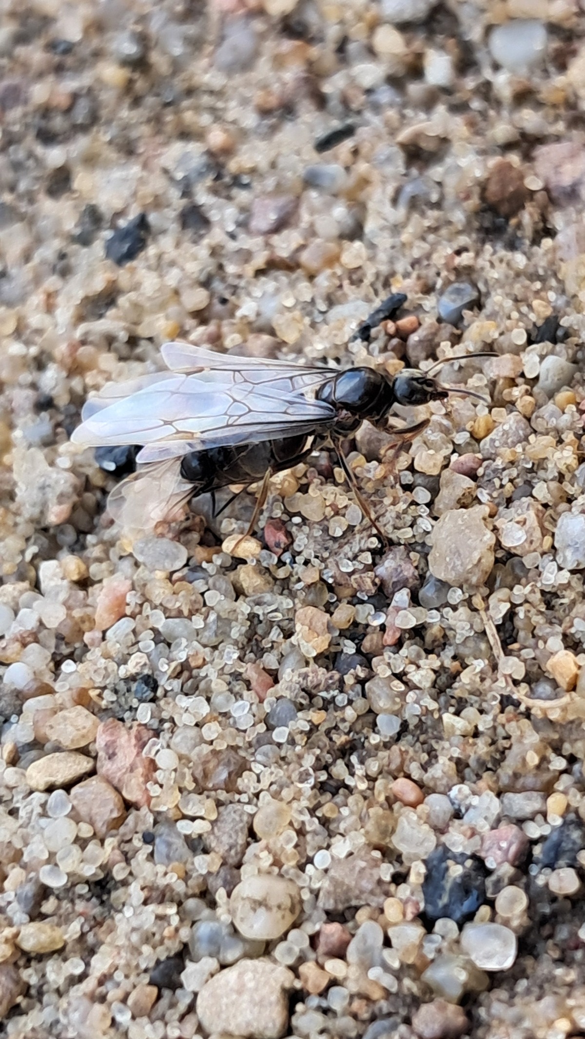 459f48c4-1aaa-476f-b93d-08a753b4a9ec