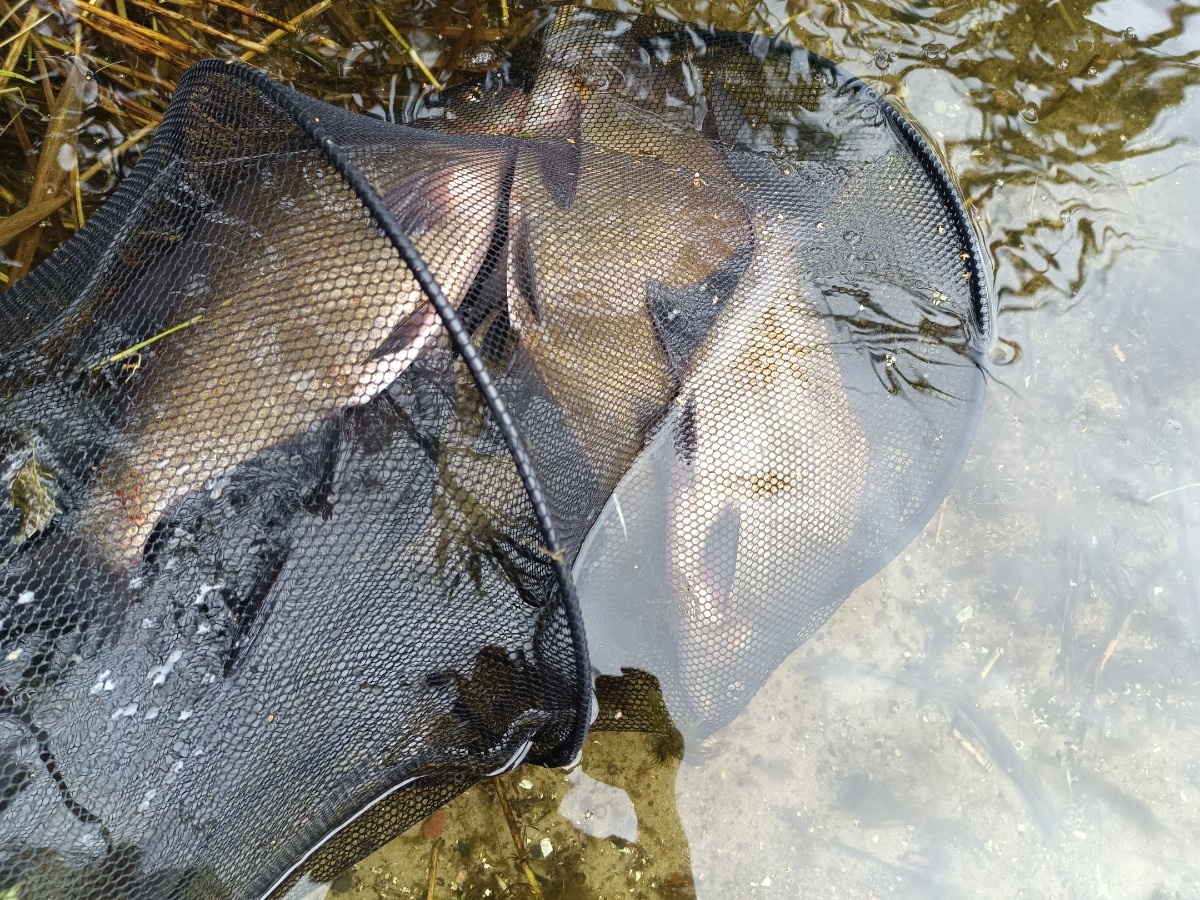 9b65f489-3e8e-4e39-8914-f352d0ca790e