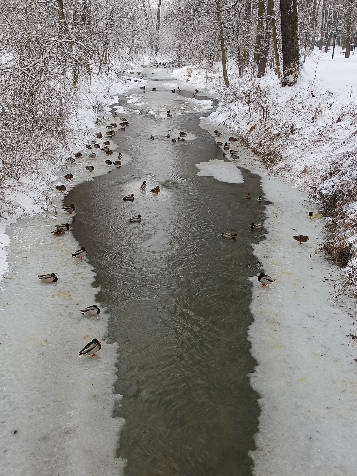 8fbe231e-d203-4d85-aee9-e66420ad2904