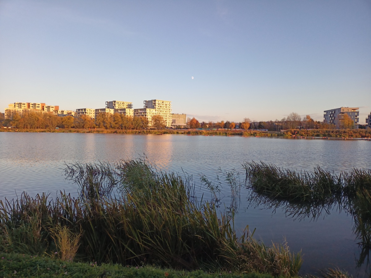 d0de682e-8fe6-4512-80cc-173a2ff3e645