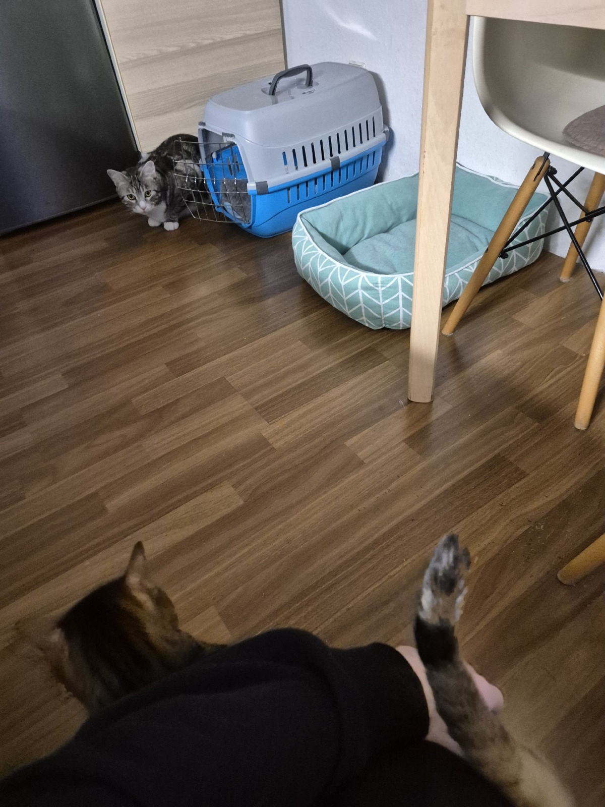 15386da0-7674-4cb6-a9c6-5a63d30ec1bc