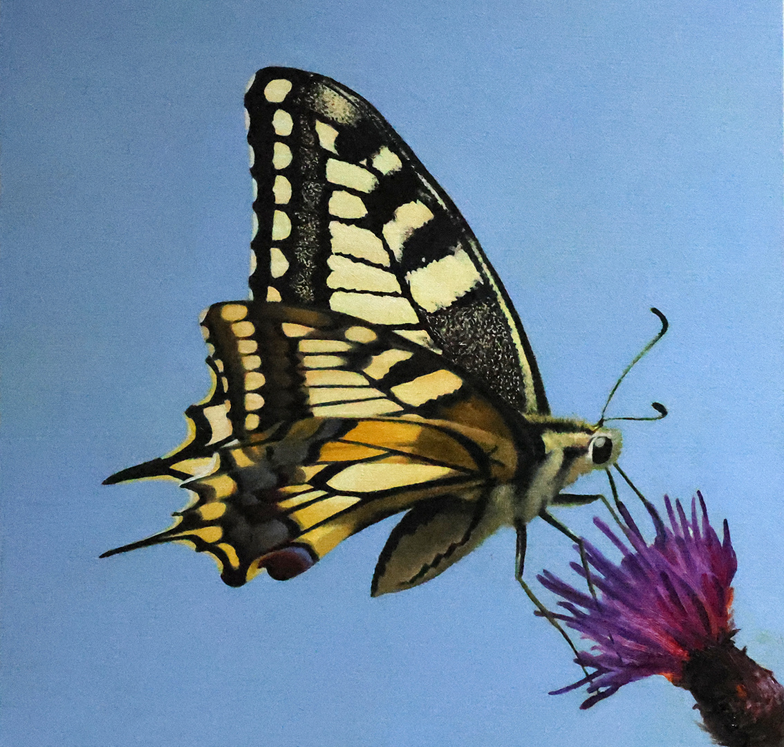 2edcc211-7b64-4281-9a9e-27b512a38618