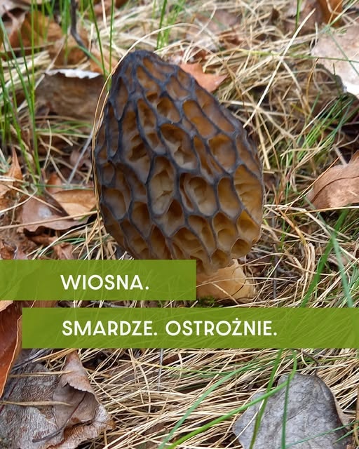 4f6ce294-c137-42e3-a820-6416d9c655c6