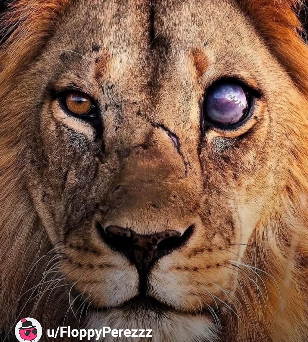 eeb23dd8-0f1c-42c3-8708-6f2974429bf6