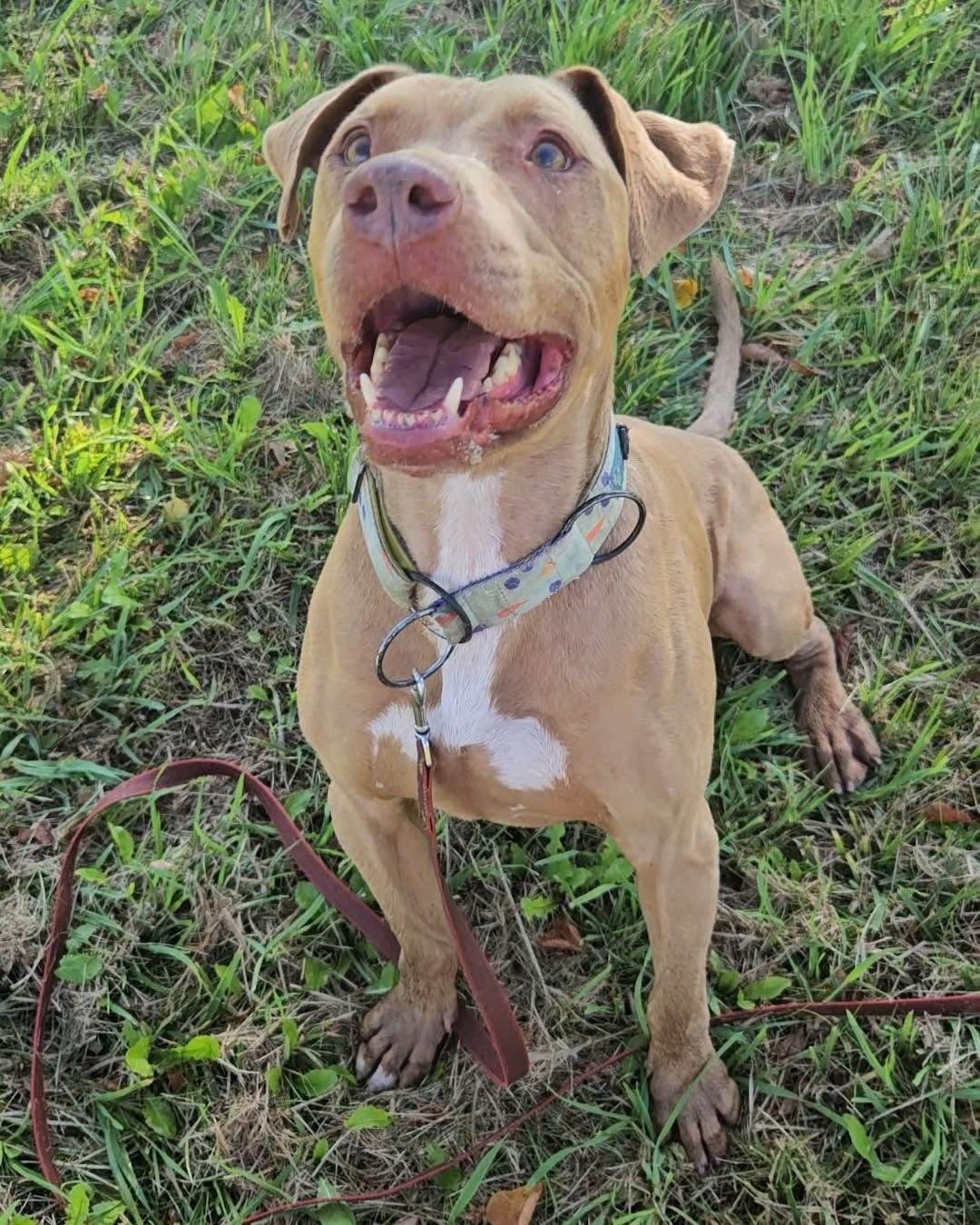 f1836883-2c16-4289-8319-f7a73dccbf1d