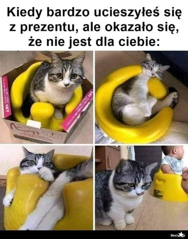 df6f674f-39e4-4cd9-8a91-ff13843c20a9