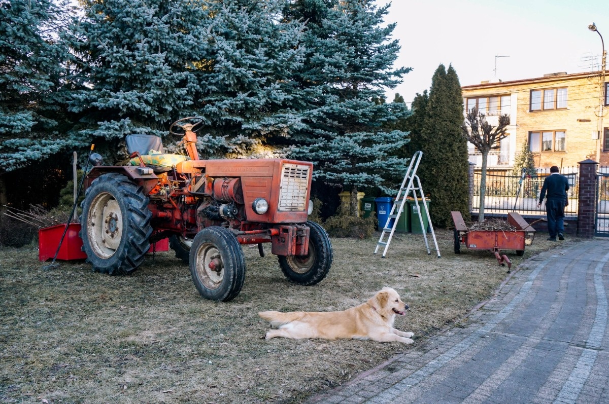 cb6f9816-23c1-49ff-b440-18659d5f629d