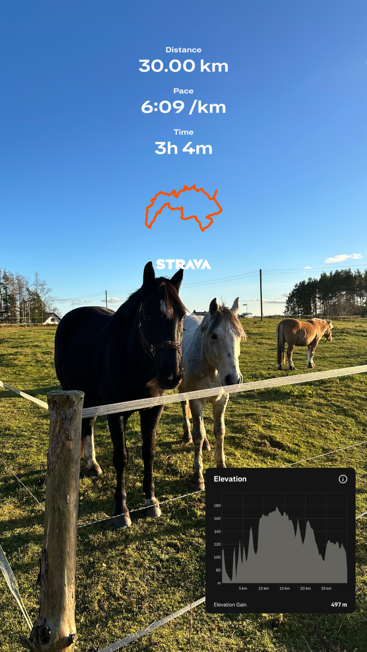 d688e33a-9252-46da-a1c8-81a55aea5161