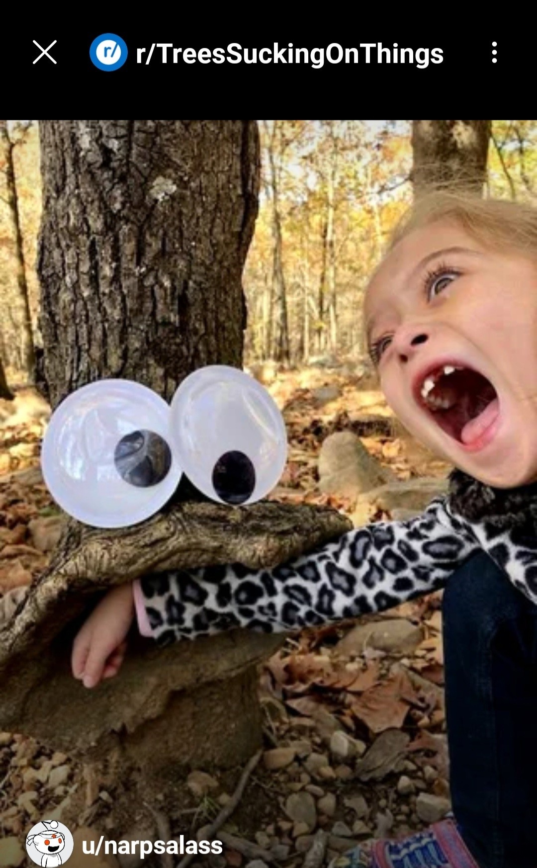 1d74f1be-9100-4957-b5fd-a481500ff901