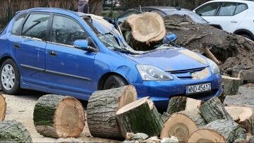 Orkan Eunice. 20 tys. zdarzeń i 180 tys. zgłoszeń w związku z silnym wiatrem. Cztery ofiary