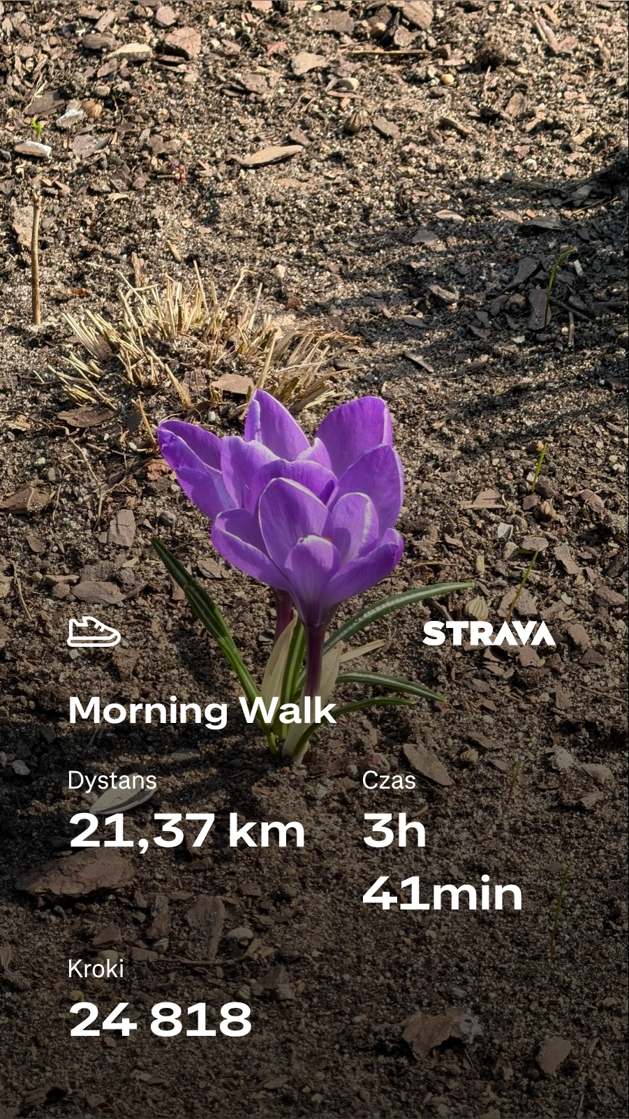 81926df8-3123-44e9-8170-2b600457cede