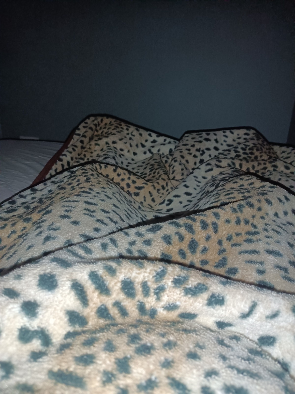 15455a3c-abd1-4f07-8e4b-1e32cc2d2a19