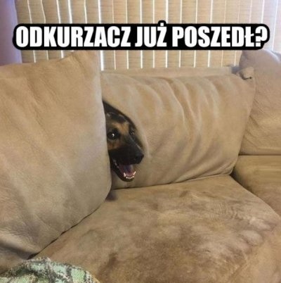 482693e9-7f2a-445f-9066-2cde448cac95