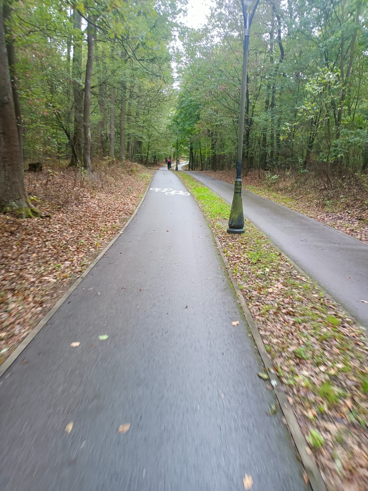 50c59529-50c4-42d9-bfc2-66ba2162d401