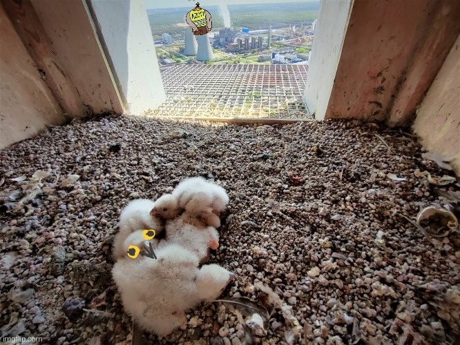 f77a3712-9fda-48c5-be99-67d6e02e82f2