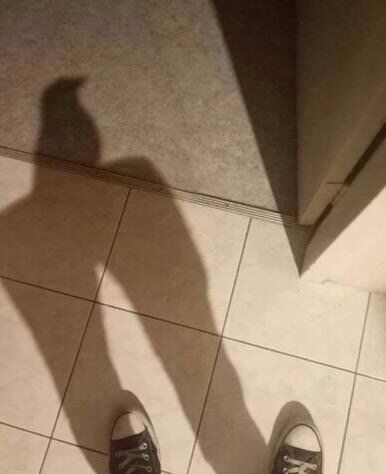 5f5ca696-195d-434c-9457-21d8c79108eb