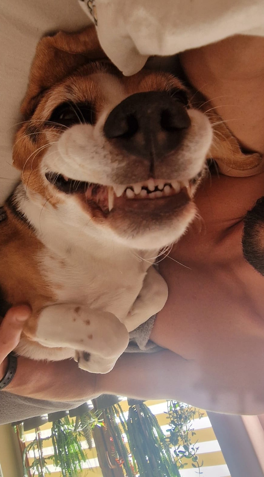 9736d874-a125-4544-9594-1c5d355dac67