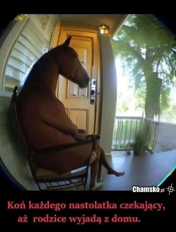 f4d3d822-6bac-4be6-a9ee-be9bcfd13668