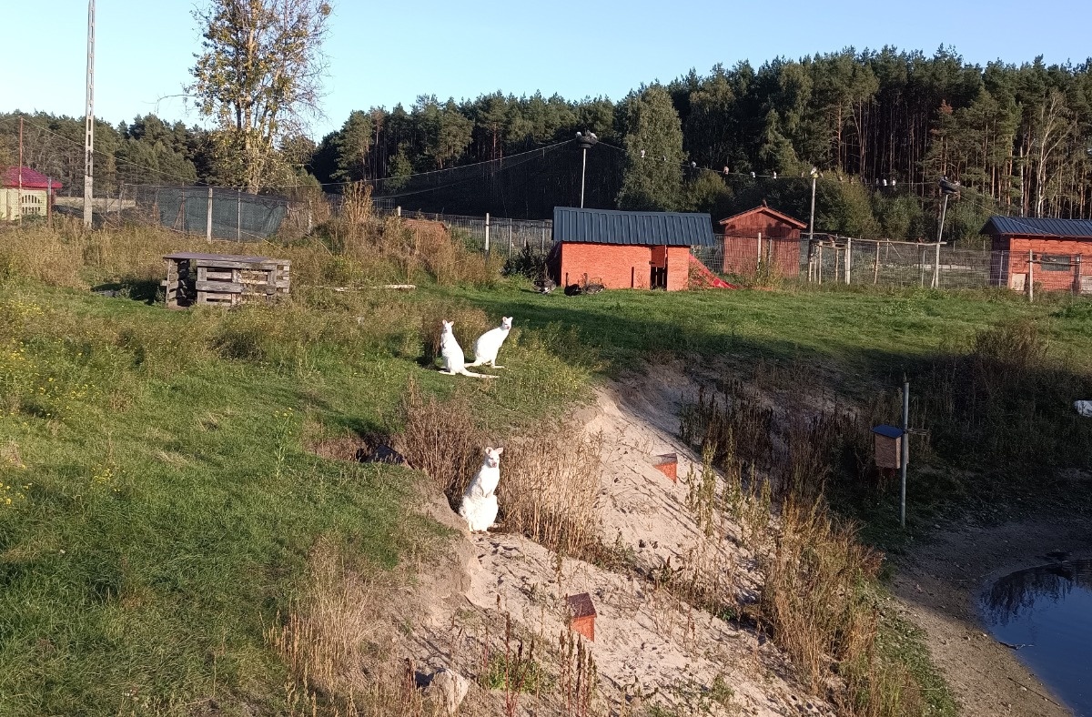 03b6945d-00e6-48d5-9602-76fef149b518