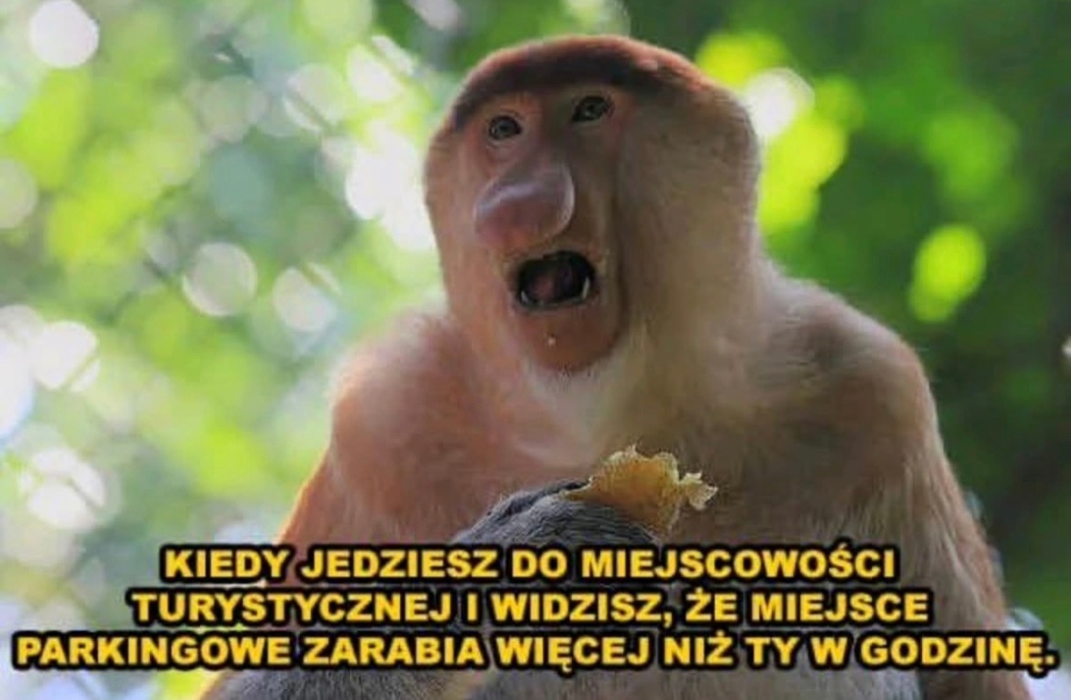 ca3bc91d-d496-477e-b1fa-62782336e85a