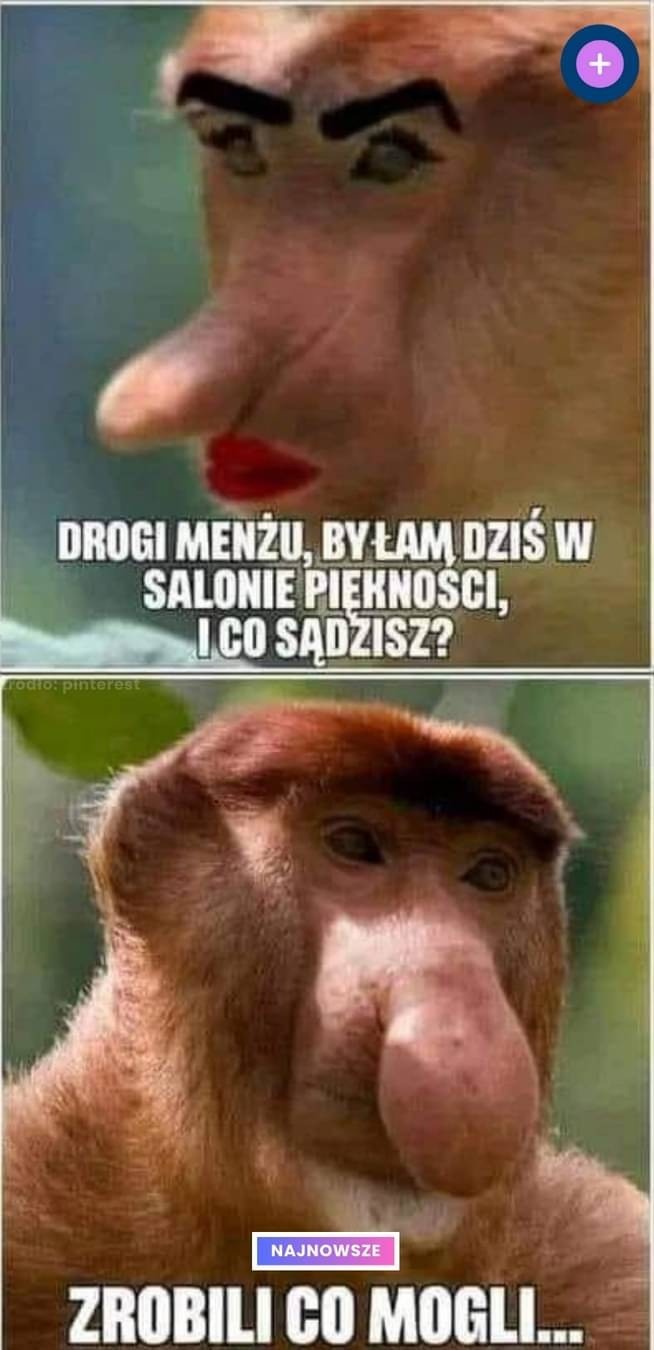 260f5dda-d767-446f-ae8e-a370715419d6