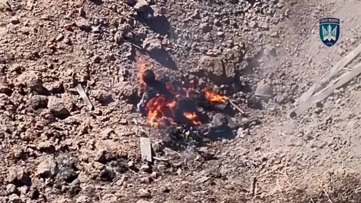 d9a2ee72-221c-4e91-a8df-4b36964270a6