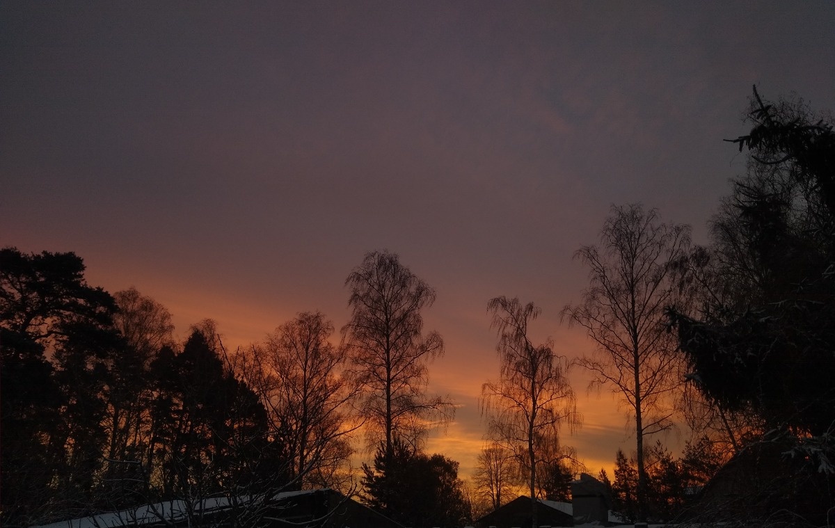 d002e62d-4f24-4a24-8274-0d39417d72ed