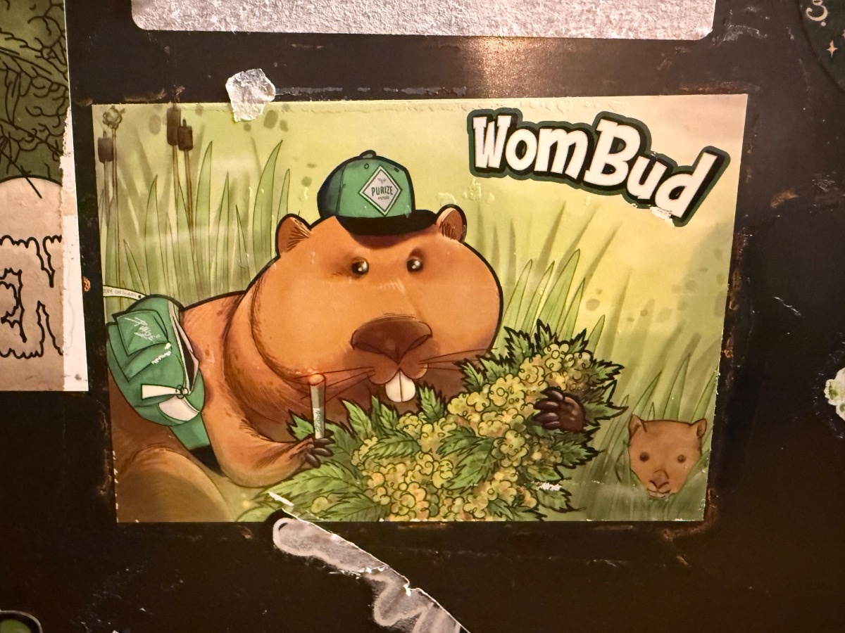 53a8c8e0-1cdb-4078-9109-e5bfec21c2de