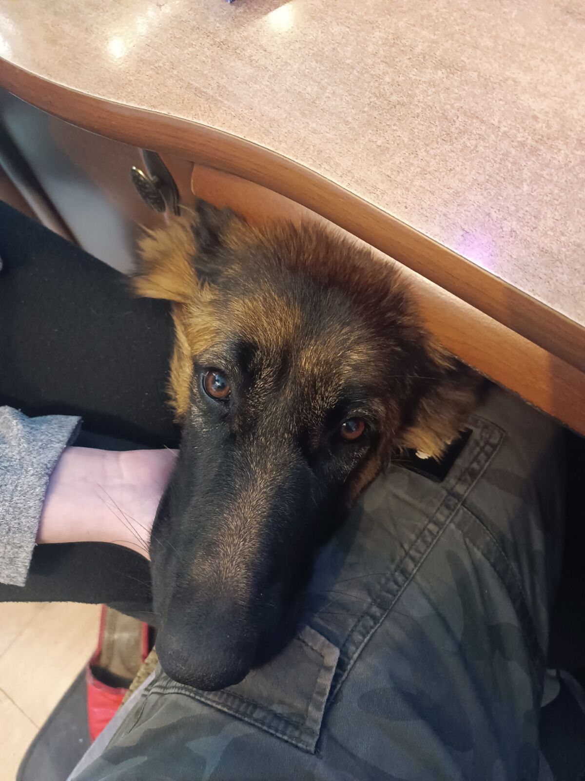 8f8922e9-24f3-4d31-8f49-dd9d4691fdf1