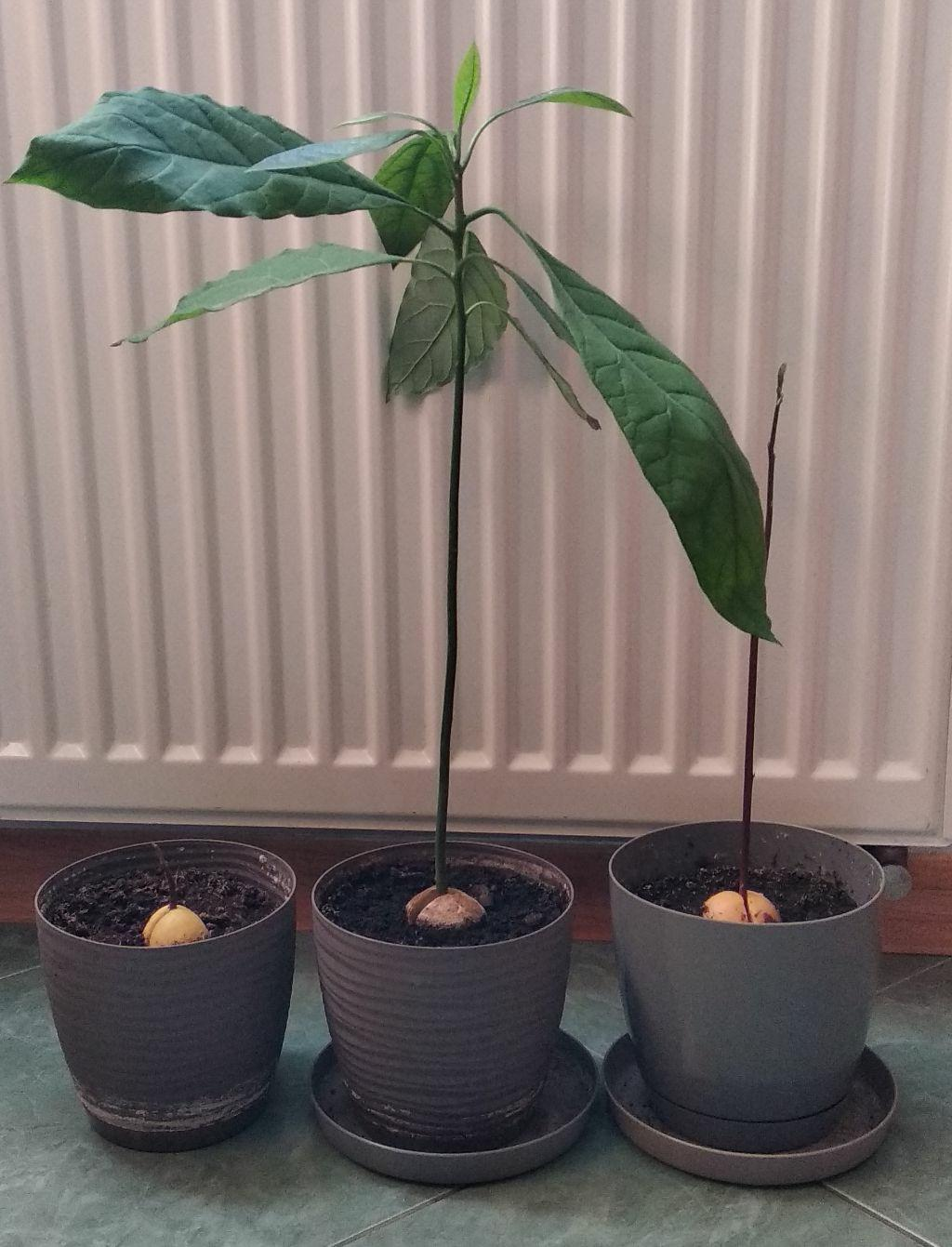 8657b212-a2e6-4315-8362-60a292d368f2