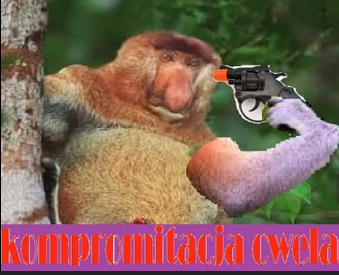 b076fff0-785d-423a-aa0d-6a31758b6921