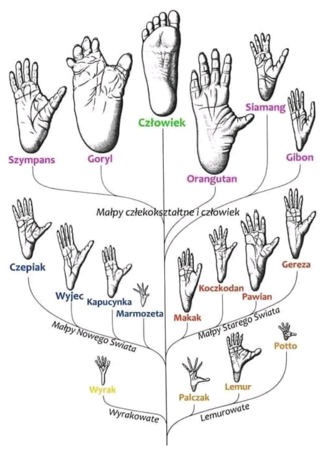 ae2112e0-8882-4b25-9746-b356b4481bba