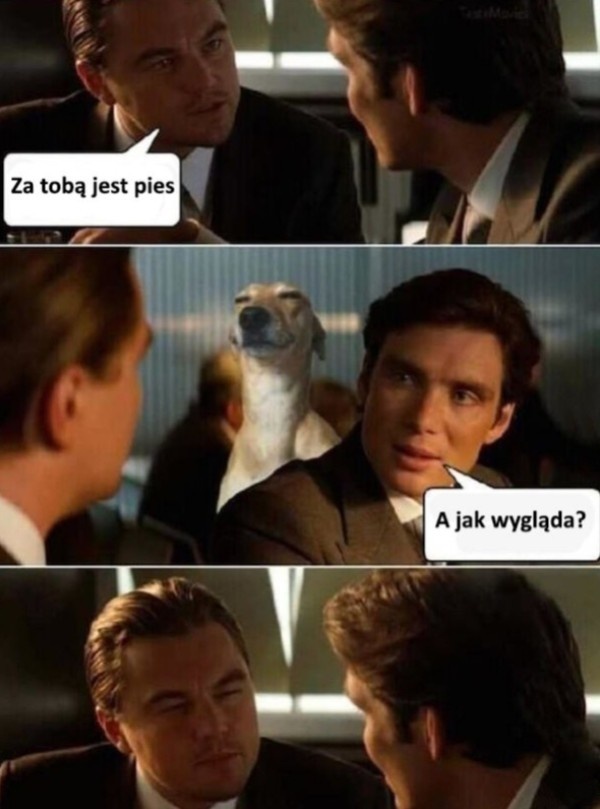 56dee4f8-7d9e-49d8-b2af-bc65f0c1c63d