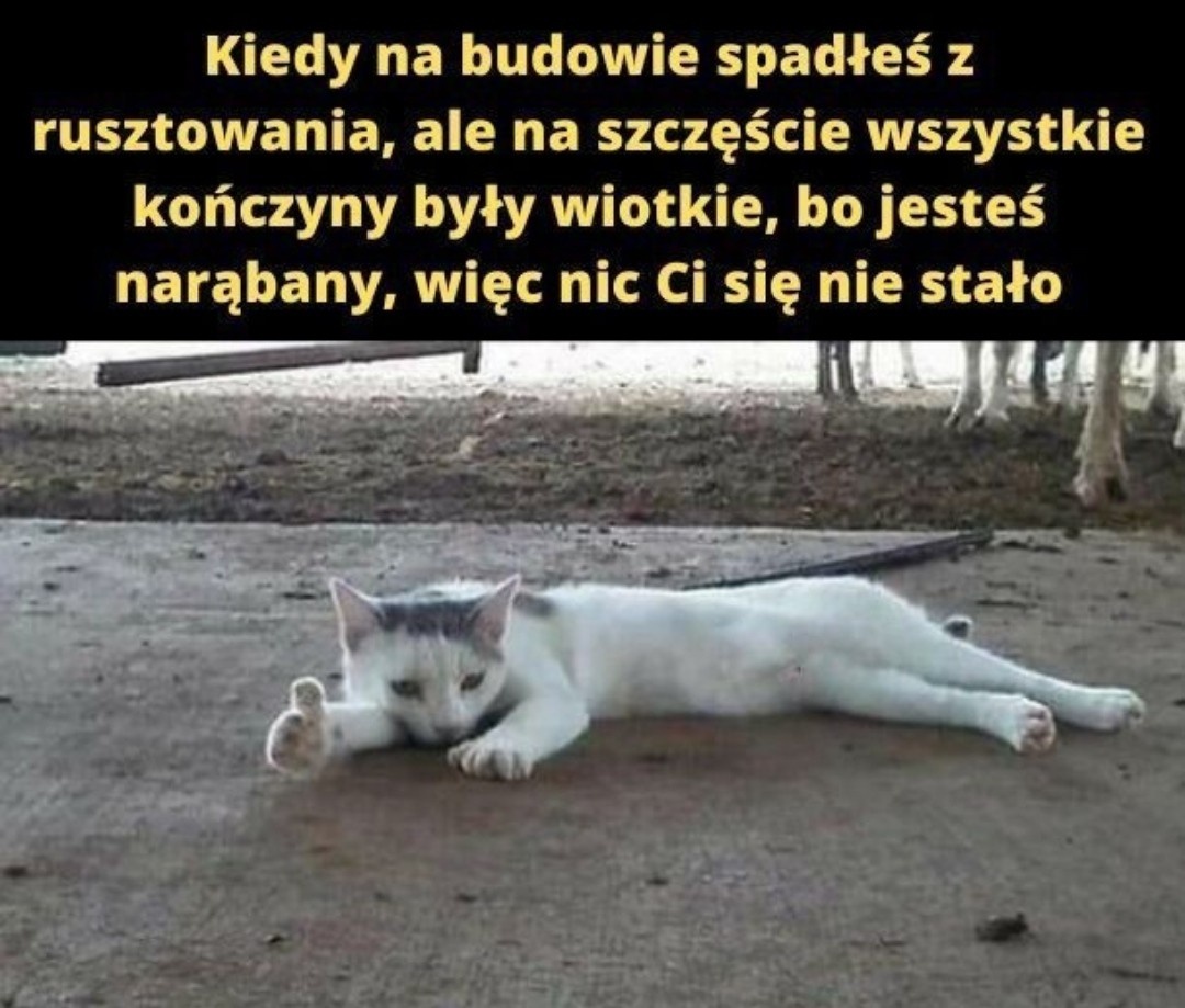 b5945083-8fd1-4ec3-ad18-06606acec46e