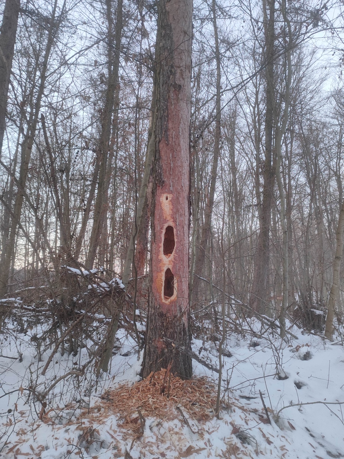 2fa7f9fa-4731-466b-8182-caa1c87670db