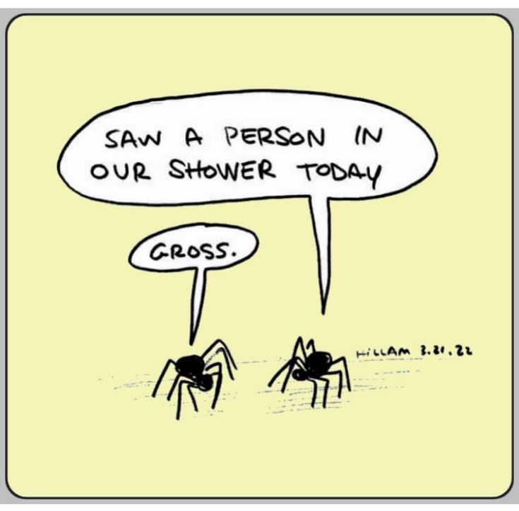 447f3c9c-3146-4317-bd2c-ee0f194fb082