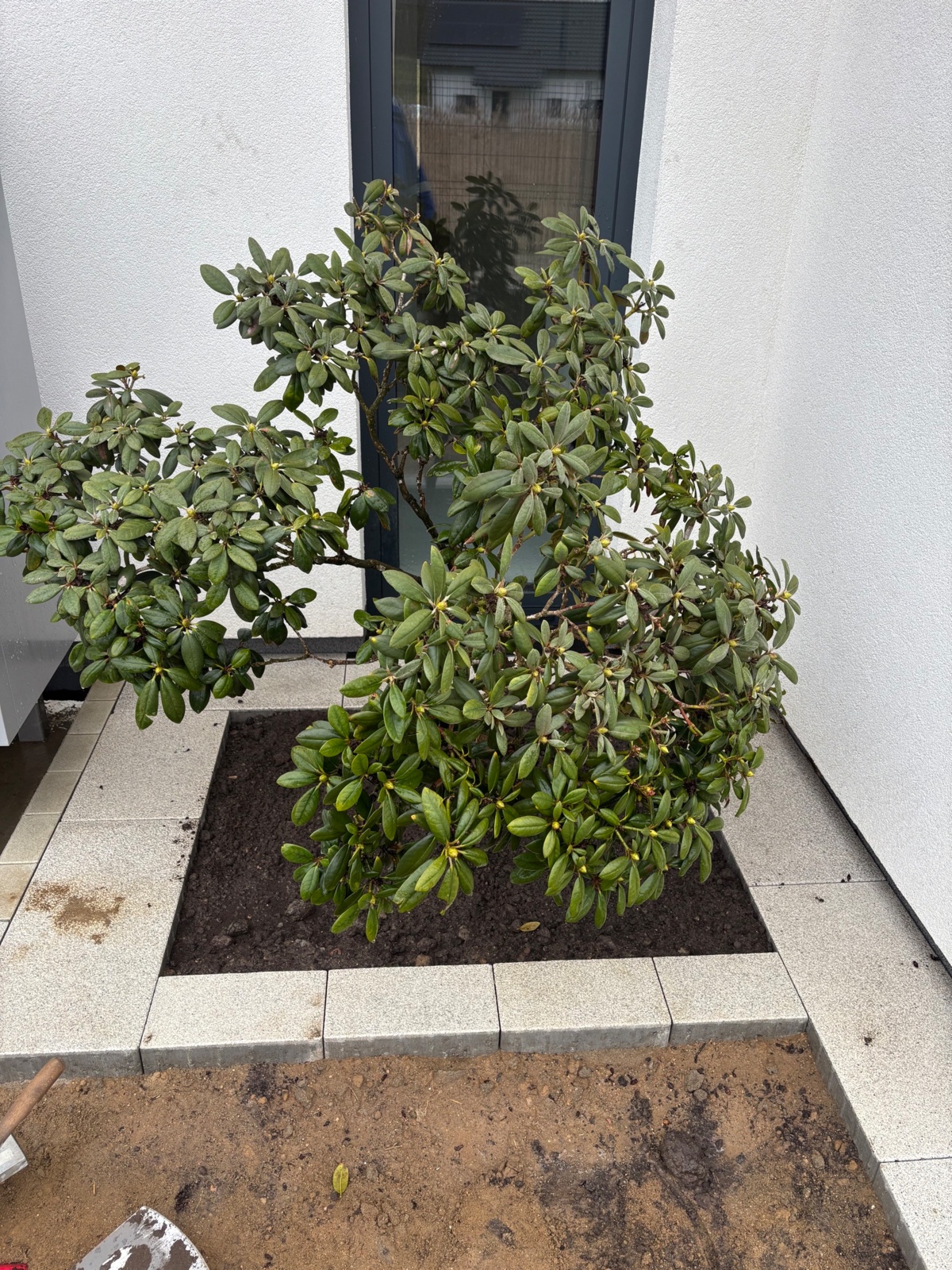 2e237450-d0de-4787-9d77-2796b9c5af44