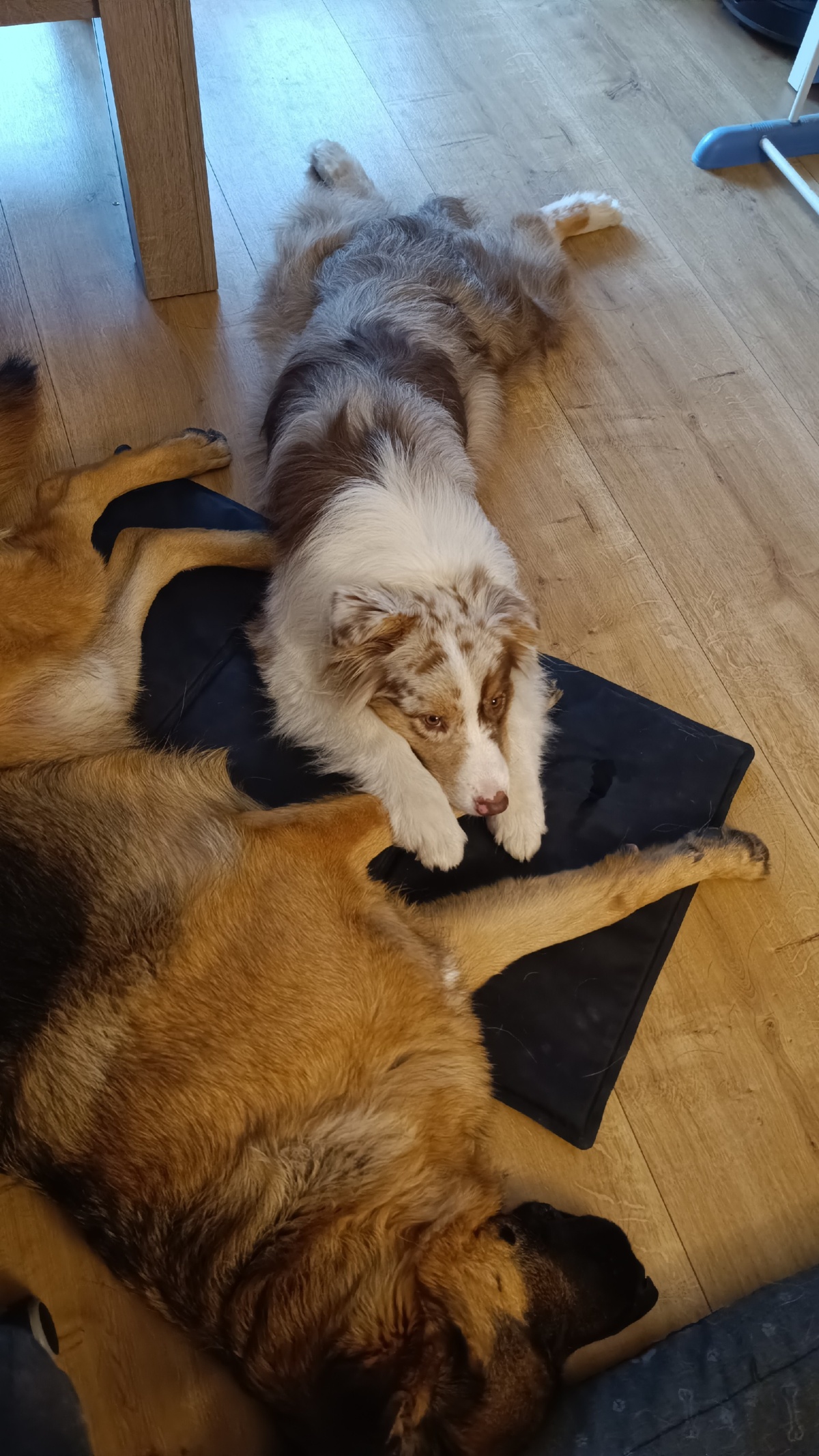 2b4e9912-dfb5-45b3-87ac-24e9b713c808