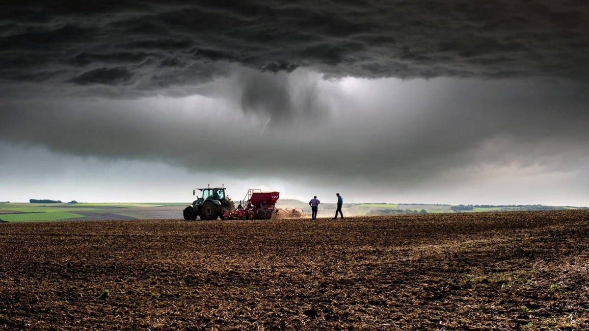 150 ton złota! Rolnik znalazł gigantyczne złoża na własnym polu – i wszystko ukradnie mu państwo | BitHub.pl